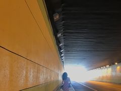 -张之洞与武汉博物馆