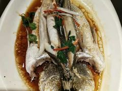 -邵年鸽(杨庄店)