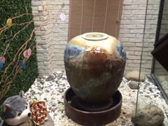 -菩提树·素食餐厅(汇智国际商业中心店)