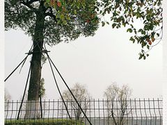 -漕湖湿地公园