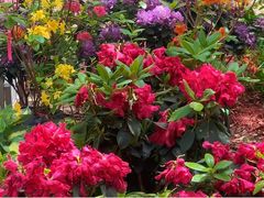 -上海鲜花港