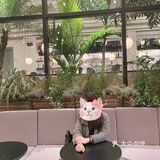 又是西餐呢~