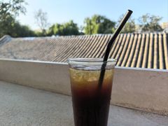 -Sirena海妖日咖夜酒