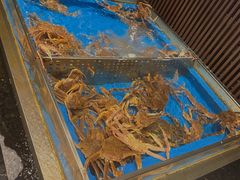 -蟹将军·松叶蟹和牛日料放题自助(K11店)