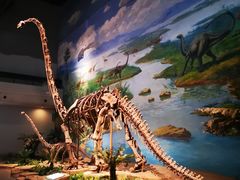 -自贡恐龙博物馆