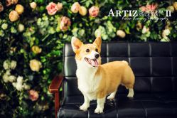 点击看大图 -韩国艺匠ARTIZ STUDIO(博览中心店)