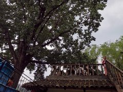 -百花人家(清水镇店)