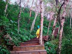 -白草畔自然风景区