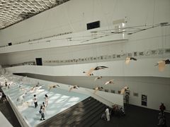 -中国湿地博物馆