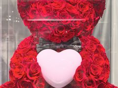 -ROSEONLY诺誓(国际广场购物中心店)