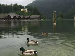 景点-柯尼希湖