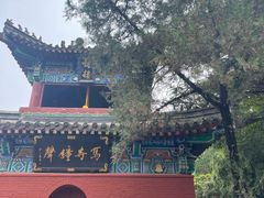-洛阳白马寺