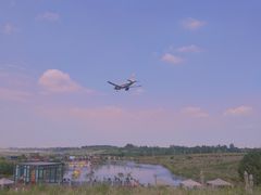 -空港花田景区