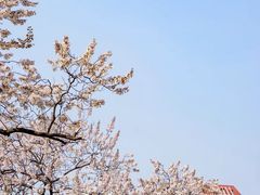 -红星桥(地铁站)