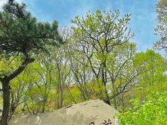 -天津盘山风景名胜区