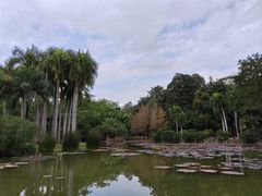-中国科学院西双版纳热带植物园