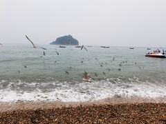 -棒棰岛宾馆景区