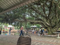 -侯臣咖啡文化村