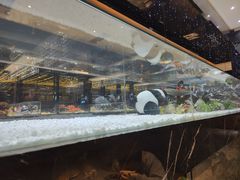 -红辣椒·川菜·火锅(科华路店)