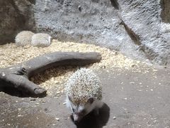 -青青世界