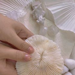 -ZX·美睫设计师汇聚店