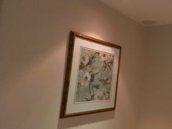 -尊尚柏丽美容SPA