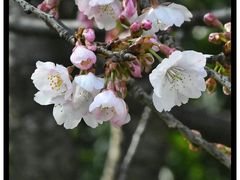 -静安雕塑公园