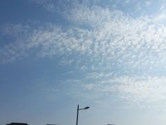 20150307_145133-新江湾城公园