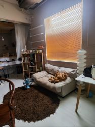 -苏菲雅婚纱摄影(西三路)