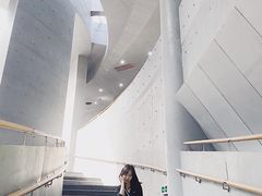 -柳州白莲洞洞穴科学博物馆