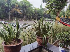 -峨眉山报国寺