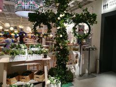 -宜家家居(哈尔滨商场店)