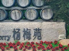 -柳鹭田园区