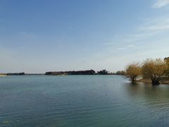 -贡湖湾湿地公园