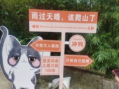 -鼎湖山风景区