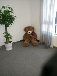 -莱恩·乐活概念专业皮肤管理连锁