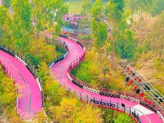 -盈香心动乐园