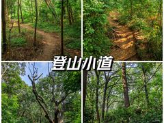 -紫金山山顶公园