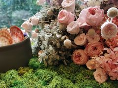 -六月花园咖啡馆(中关村东路店)