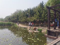 -前关湿地公园