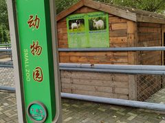 -长白岛森林公园