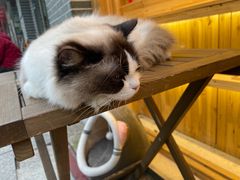 -五娭毑臭豆腐(黄兴南路店)