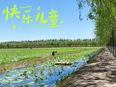 -西青郊野公园