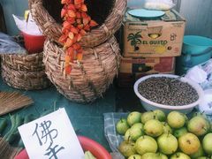 -蒲河大集