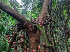 -水濂山森林公园