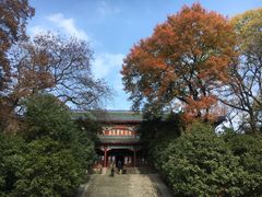 -灵谷景区