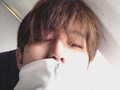 -西树泡芙(喜隆多店)