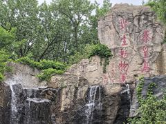 -秦皇岛野生动物园