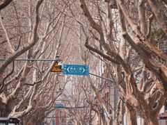 -思南公馆商业街