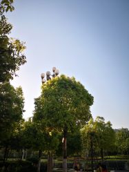 -河南省儿童医院(郑东院区)